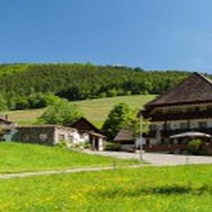 Landgasthaus Gruener Baum